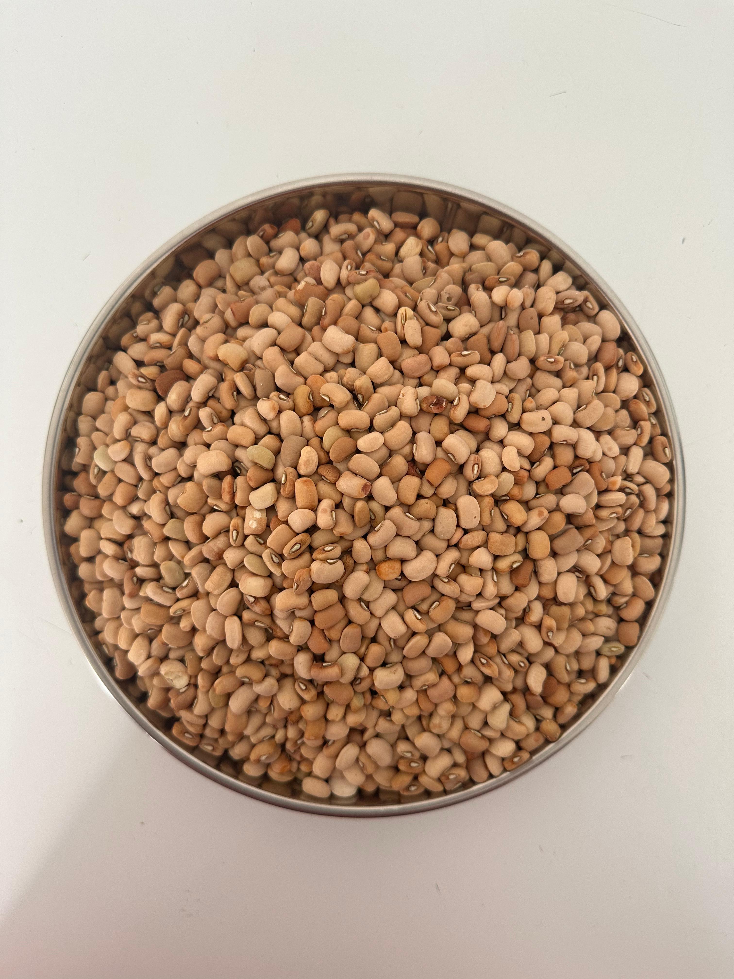 NIGERIAN HONEY BEANS - 1KG/2KG