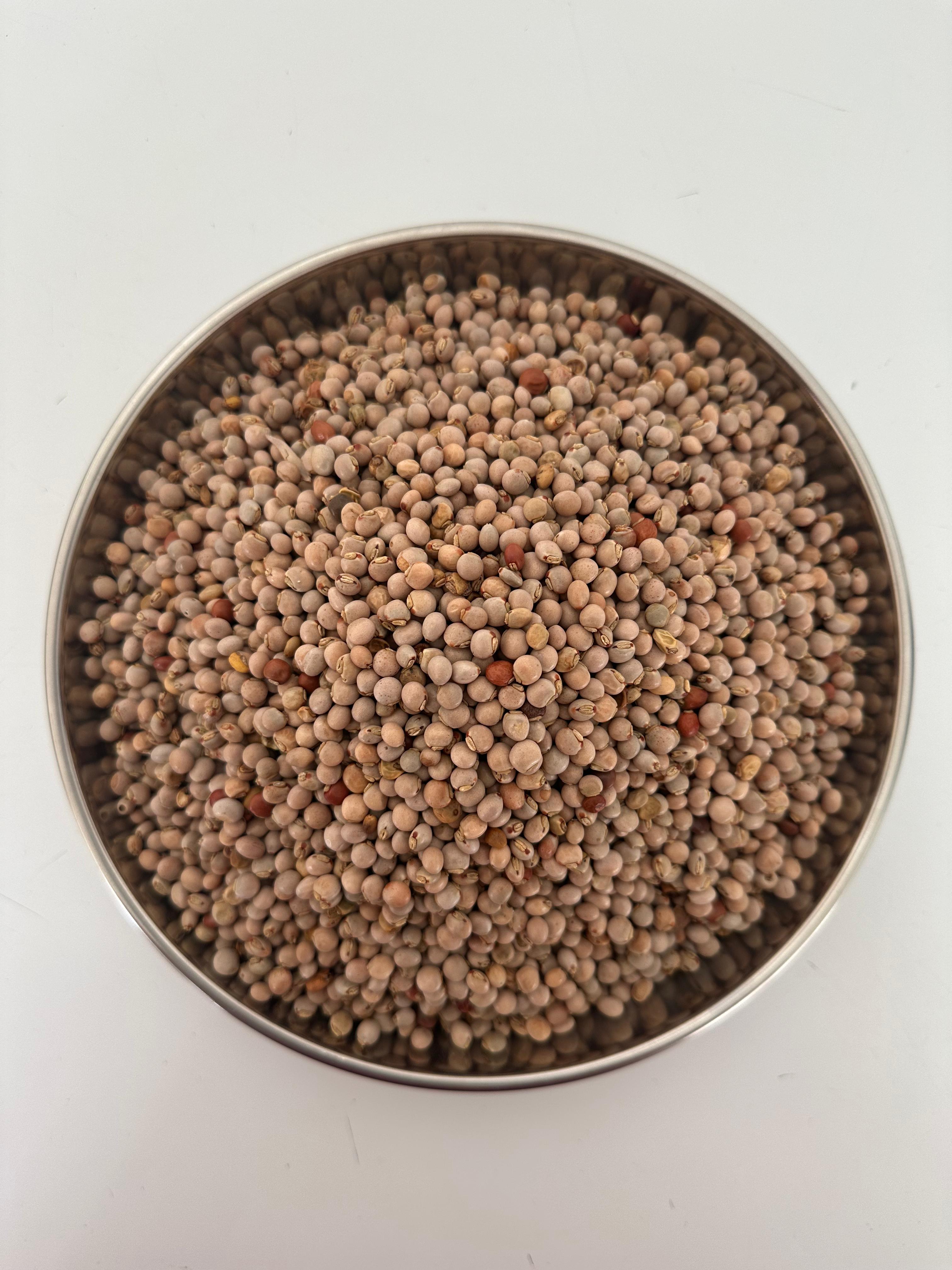 NIGERIAN FIO-FIO BEANS
