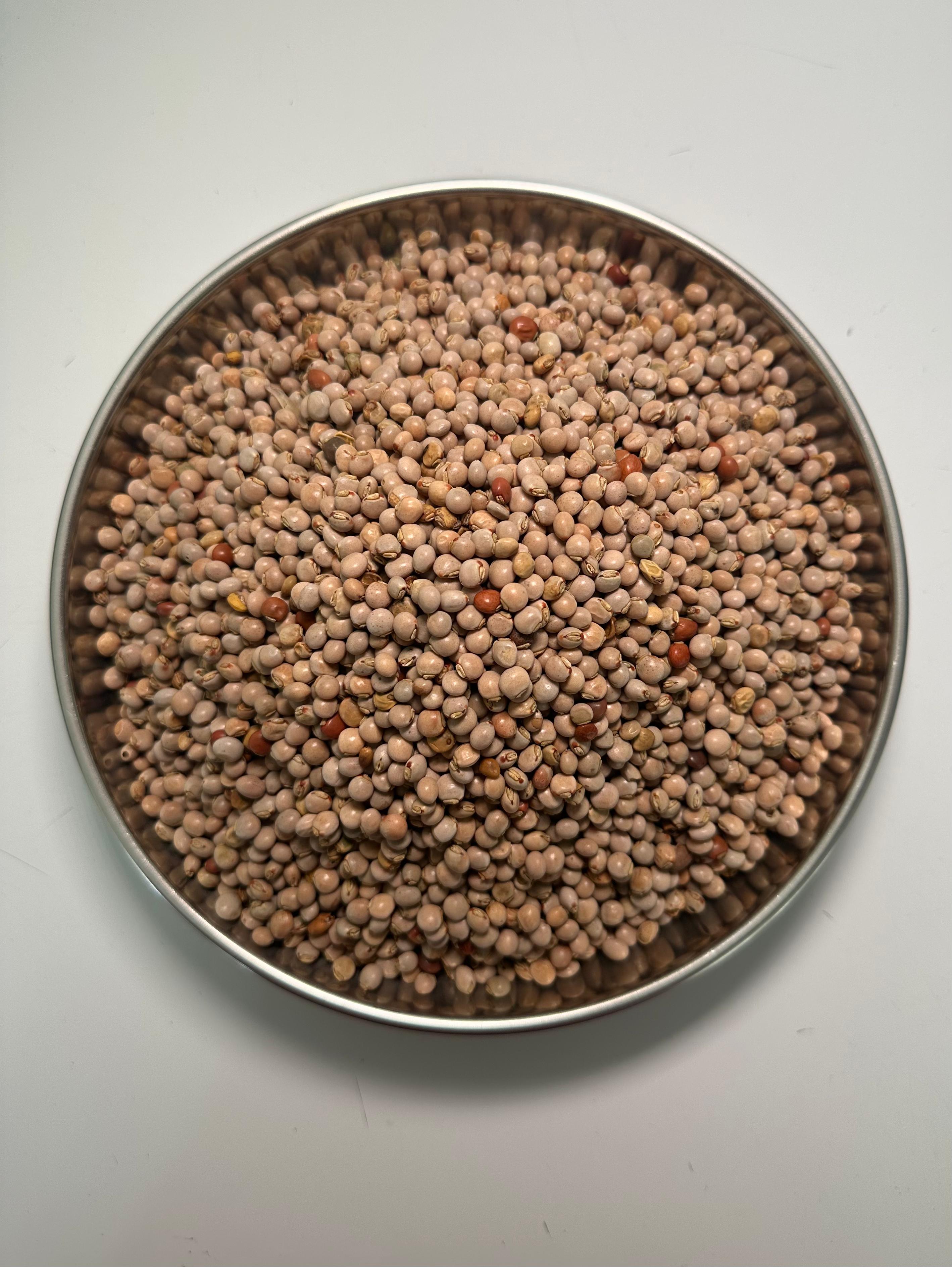NIGERIAN FIO-FIO BEANS - 1KG
