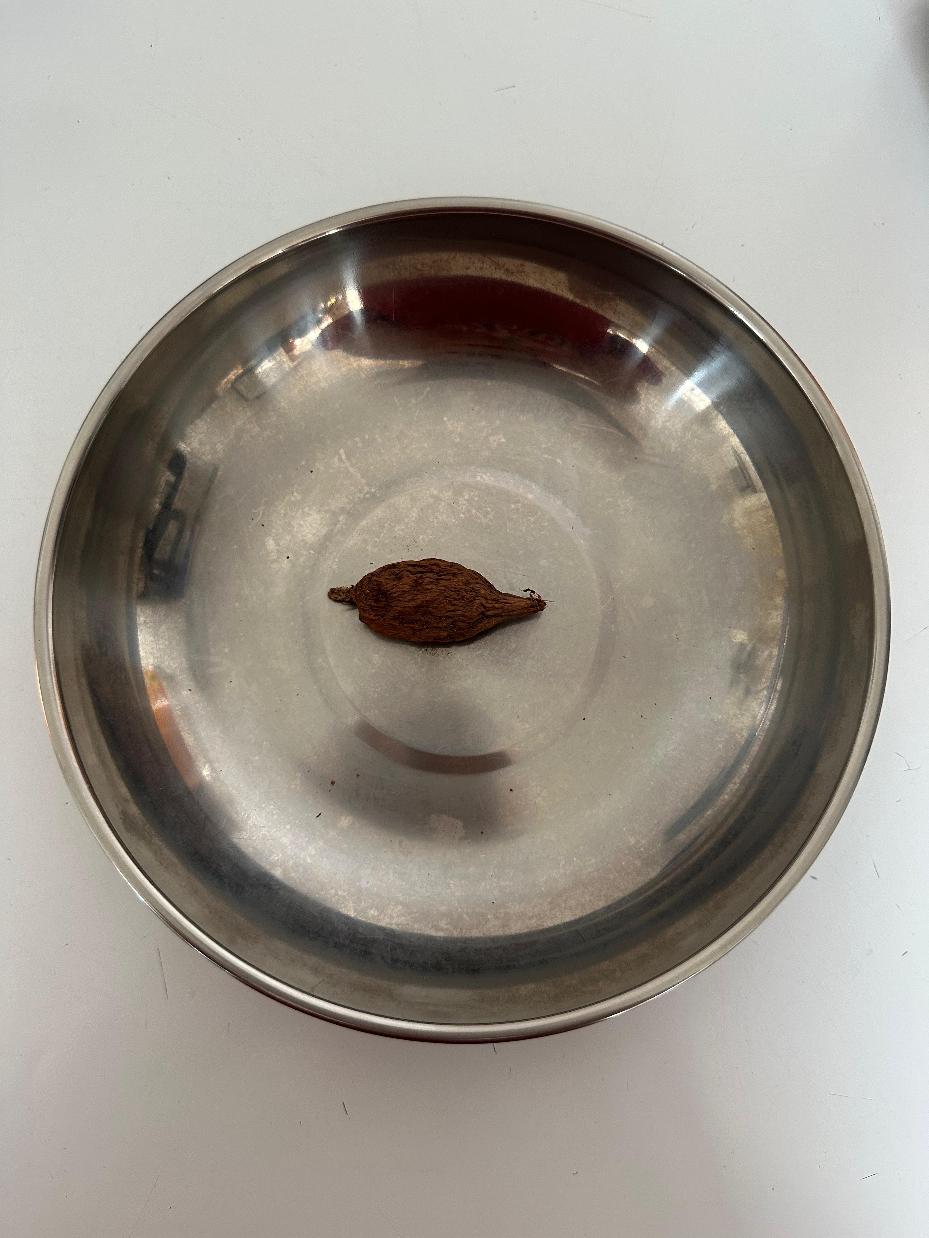 ALLIGATOR PEPPER 4 PIECES